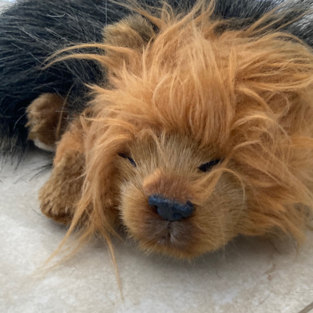 Toy dog